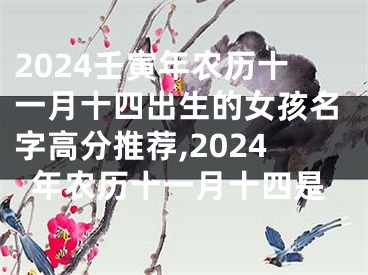 2024壬寅年农历十一月十四出生的女孩名字高分推荐,2024年农历十一月十四是