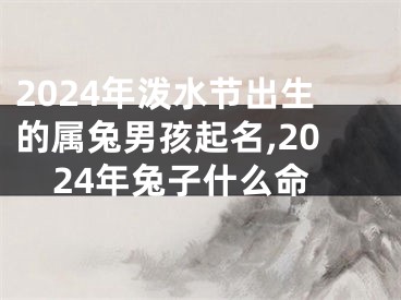 2024年泼水节出生的属兔男孩起名,2024年兔子什么命