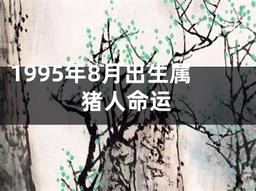 1995年8月出生属猪人命运