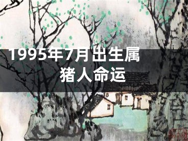 1995年7月出生属猪人命运
