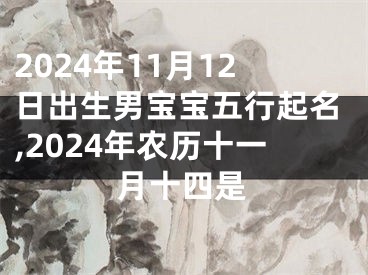 2024年11月12日出生男宝宝五行起名,2024年农历十一月十四是