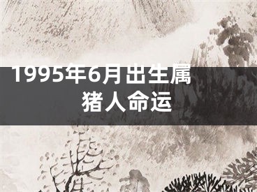 1995年6月出生属猪人命运