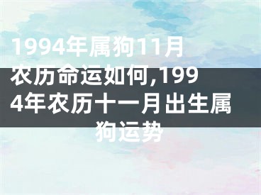 1994年属狗11月农历命运如何,1994年农历十一月出生属狗运势