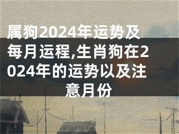 属狗2024年运势及每月运程,生肖狗在2024年的运势以及注意月份