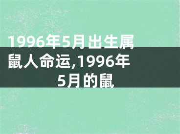 1996年5月出生属鼠人命运,1996年5月的鼠