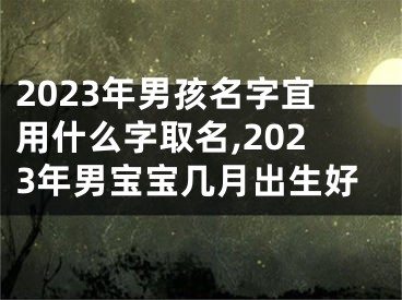 2023年男孩名字宜用什么字取名,2023年男宝宝几月出生好