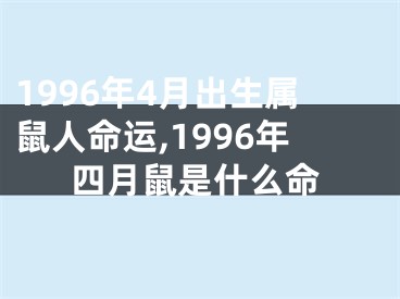 1996年4月出生属鼠人命运,1996年四月鼠是什么命