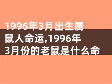 1996年3月出生属鼠人命运,1996年3月份的老鼠是什么命
