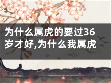 为什么属虎的要过36岁才好,为什么我属虎