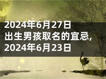 2024年6月27日出生男孩取名的宜忌,2024年6月23日