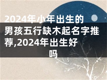 2024年小年出生的男孩五行缺木起名字推荐,2024年出生好吗