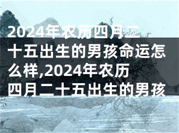 2024年农历四月二十五出生的男孩命运怎么样,2024年农历四月二十五出生的男孩