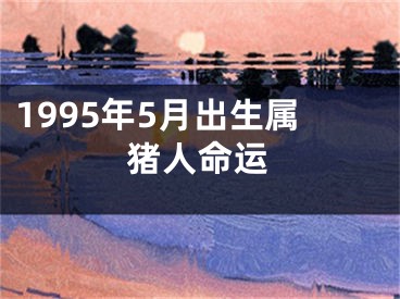 1995年5月出生属猪人命运