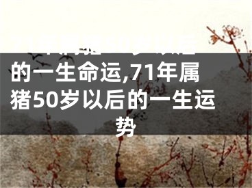 71年属猪50岁以后的一生命运,71年属猪50岁以后的一生运势