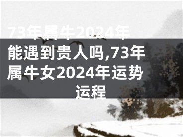 73年属牛2024年能遇到贵人吗,73年属牛女2024年运势运程