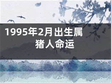 1995年2月出生属猪人命运