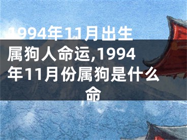 1994年11月出生属狗人命运,1994年11月份属狗是什么命