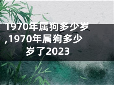 1970年属狗多少岁,1970年属狗多少岁了2023