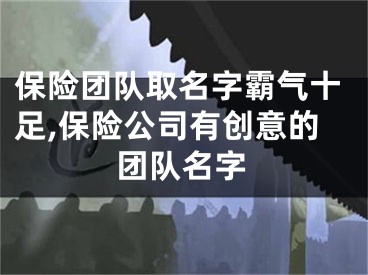 保险团队取名字霸气十足,保险公司有创意的团队名字
