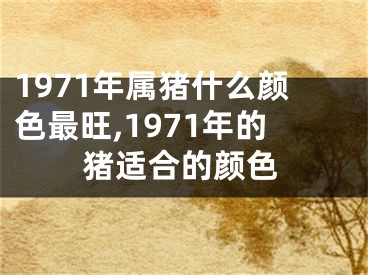 1971年属猪什么颜色最旺,1971年的猪适合的颜色