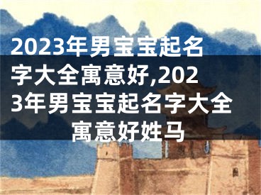 2023年男宝宝起名字大全寓意好,2023年男宝宝起名字大全寓意好姓马