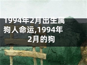 1994年2月出生属狗人命运,1994年2月的狗