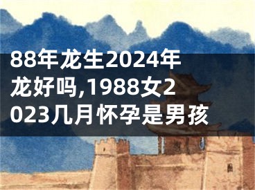 88年龙生2024年龙好吗,1988女2023几月怀孕是男孩