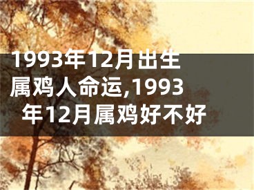 1993年12月出生属鸡人命运,1993年12月属鸡好不好