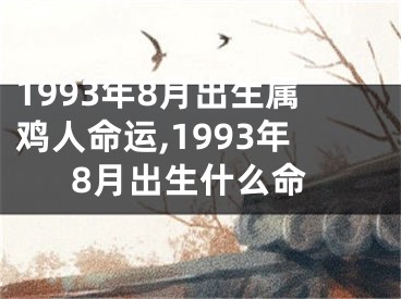 1993年8月出生属鸡人命运,1993年8月出生什么命