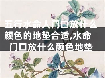 五行水命人门口放什么颜色的地垫合适,水命门口放什么颜色地垫