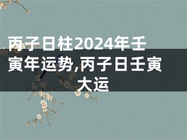 丙子日柱2024年壬寅年运势,丙子日壬寅大运