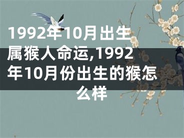 1992年10月出生属猴人命运,1992年10月份出生的猴怎么样