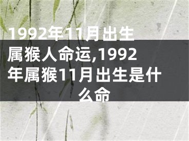1992年11月出生属猴人命运,1992年属猴11月出生是什么命