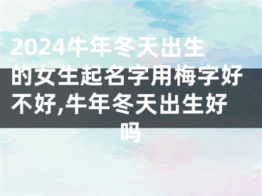 2024牛年冬天出生的女生起名字用梅字好不好,牛年冬天出生好吗