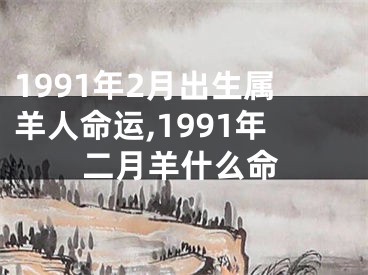 1991年2月出生属羊人命运,1991年二月羊什么命