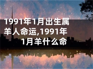 1991年1月出生属羊人命运,1991年1月羊什么命