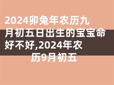 2024卯兔年农历九月初五日出生的宝宝命好不好,2024年农历9月初五