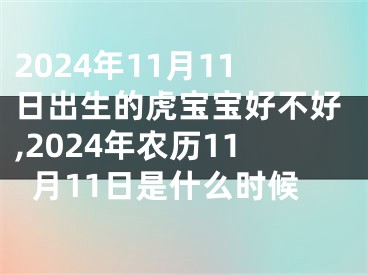 2024年11月11日出生的虎宝宝好不好,2024年农历11月11日是什么时候