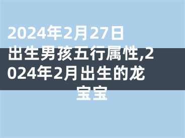 2024年2月27日出生男孩五行属性,2024年2月出生的龙宝宝