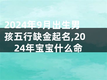 2024年9月出生男孩五行缺金起名,2024年宝宝什么命