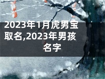 2023年1月虎男宝取名,2023年男孩名字