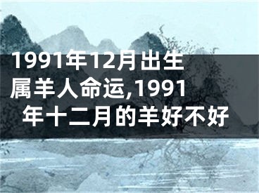 1991年12月出生属羊人命运,1991年十二月的羊好不好