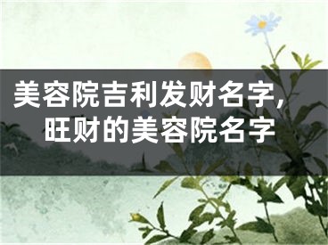 美容院吉利发财名字,旺财的美容院名字