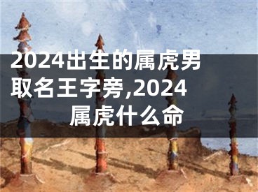2024出生的属虎男取名王字旁,2024属虎什么命