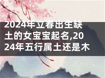 2024年立春出生缺土的女宝宝起名,2024年五行属土还是木