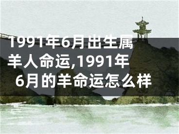 1991年6月出生属羊人命运,1991年6月的羊命运怎么样