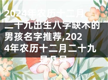 2024年农历十二月二十九出生八字缺木的男孩名字推荐,2024年农历十二月二十九是几号