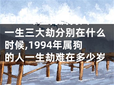 1994年生肖属狗人一生三大劫分别在什么时候,1994年属狗的人一生劫难在多少岁
