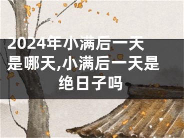 2024年小满后一天是哪天,小满后一天是绝日子吗