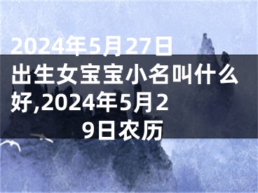 2024年5月27日出生女宝宝小名叫什么好,2024年5月29日农历